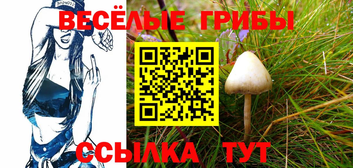 Псилоцибиновые грибы прущие грибы  Галлюциногенные грибы Magic Shrooms  Вход с VPN  Королёв 